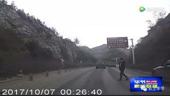 留坝县导游爆料案例最新,一场惊心动魄的旅游安全危机